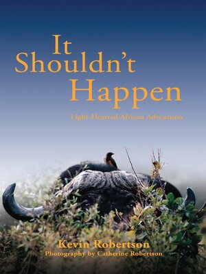 cover image of It Shouldn't Happen